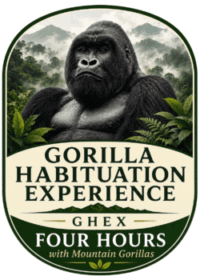 Gorilla Habituation Experience in Bwindi, Uganda