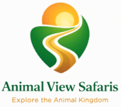 Gorilla Habituation Experience in Uganda Logo