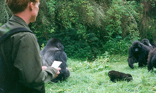 Age Limit for Gorilla Habituation Experience